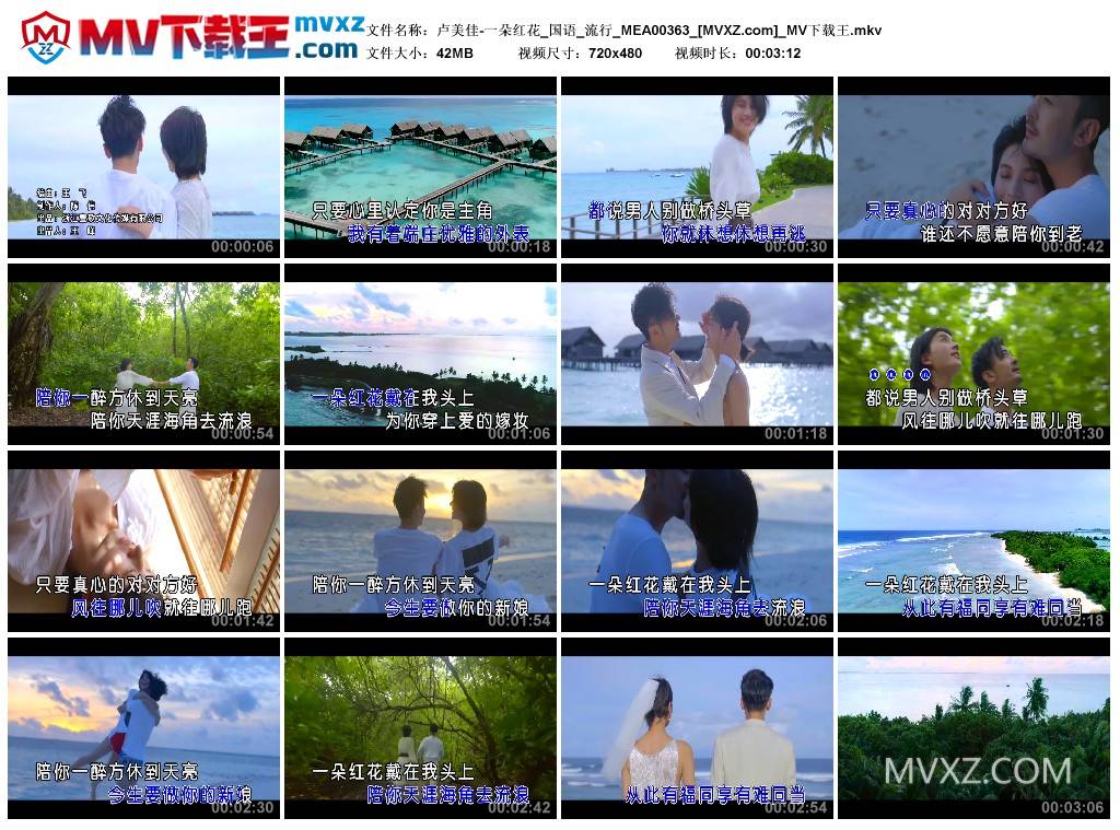 卢美佳-一朵红花_国语_流行_MEA00363